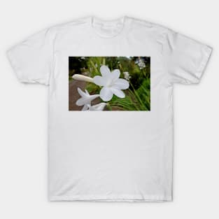 Kula Botanical Gardens Study 34 T-Shirt